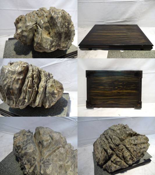 水石 名石 美石 鑑賞石 （亀甲石） 金山産 自然石 亀甲石 鑑賞