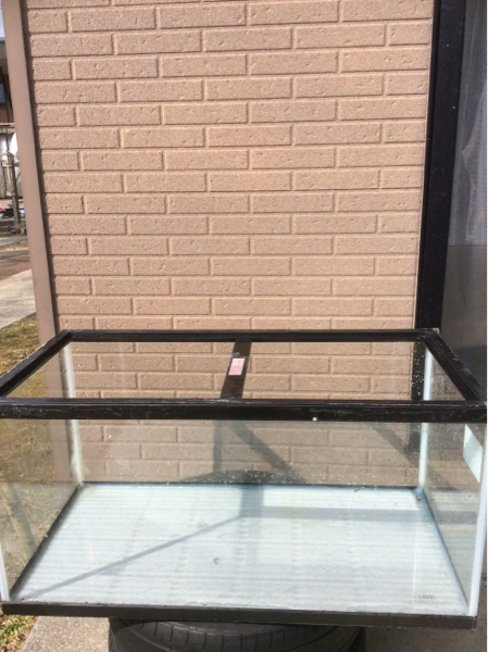 水槽 90センチメートル