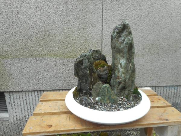 HOT，送料無料 苔と石組みの盆景 A(植木、庭木)｜売買されたオークション情報、yahooの商品情報をアーカイブ公開 - オークファン 植木、庭木