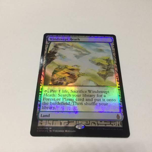 MTG 吹きさらしの荒野 日本語 ONS 吹きさらしの荒野⁄Windswept