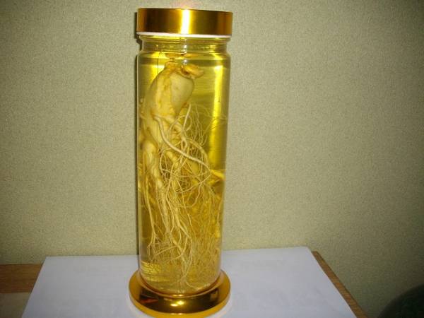 ☆高麗人参酒☆会津産6年もの☆約2.3L☆高さ約39cm☆観賞用 高麗