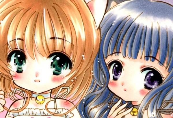 ★Ran★同人手描きイラストA4　「カードキャプターさくら」