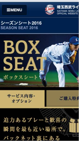3/1宮崎⚾️ソフトバンクホークスvs西武 内野自由席4枚 ファイト！九州デー