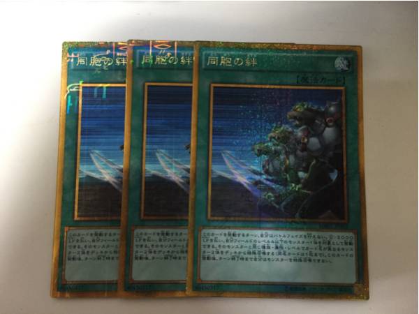 遊戯王 同胞の絆 ３枚