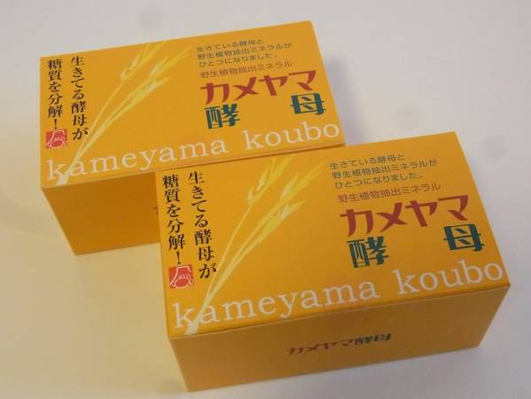 ☆亀山堂 カメヤマ酵母 30包×2箱 新品 定価10500円☆