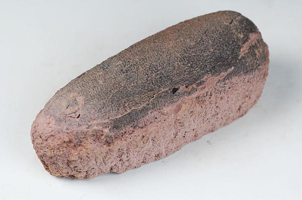 中国モンゴル産 恐竜オビラプトルの卵化石 1.6kg 122