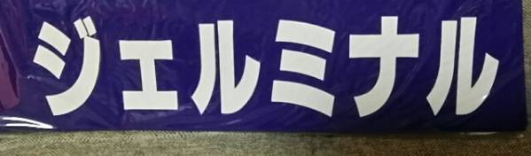 ジェルミナル号が実際に使用したゼッケン