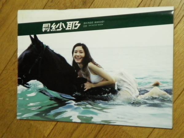 月刊シリーズ 『月刊 紗耶』 市川紗椰 写真集