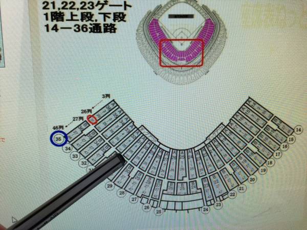 6/29 (水） 巨人vs中日　スターシート　１階A31の22列目 　ペア