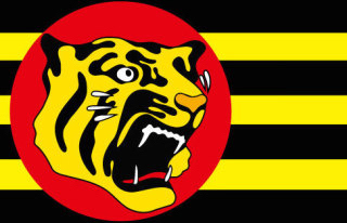 巨人阪神☆7/6レフト外野席ペア【セブンイレブン発券】★最前列