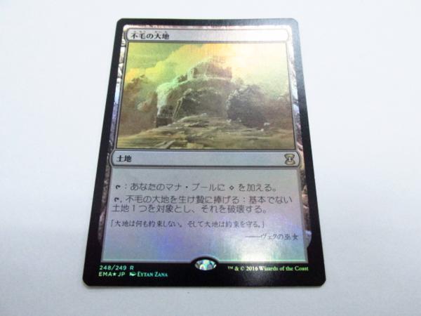 MTG | 不毛の大地 日本最大級 土地R Foil《不毛の大地⁄Wasteland》[EMA