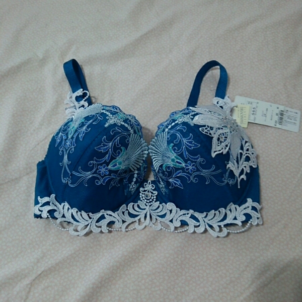 ワコール☆サルート２４☆深海の宮殿ＢＳ☆ブラジャーＧ６５