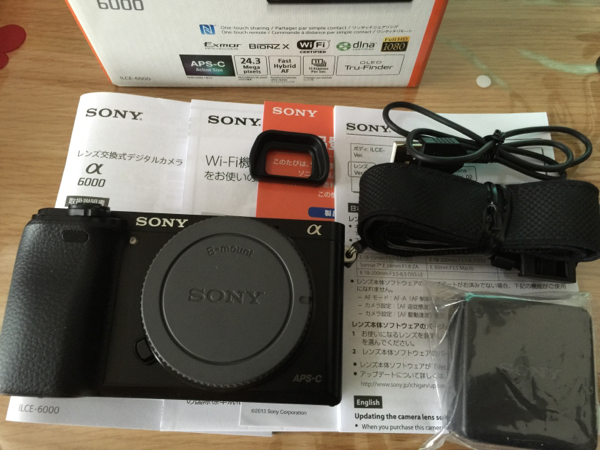 SONY α6000 ILCE-6000 ボディ 【公式通販】
