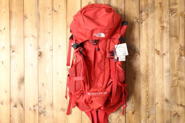 新品 ザ・ノース・フェイス ザック バックパック 1541 新ザ・ノース