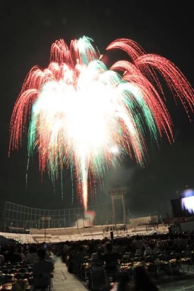 1円～8/20神宮外苑花火大会AKB★アリーナS席 C6ブロックペア発券