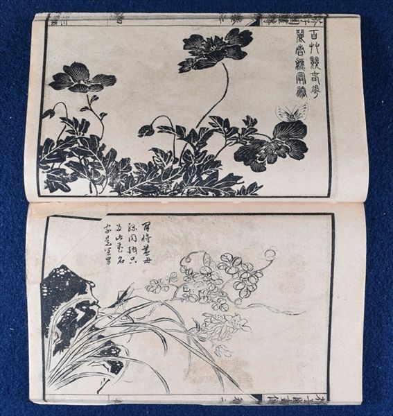 芥子園画伝三集 石印本 画譜 絵手本 中国 漢籍 唐本 和本 古文書