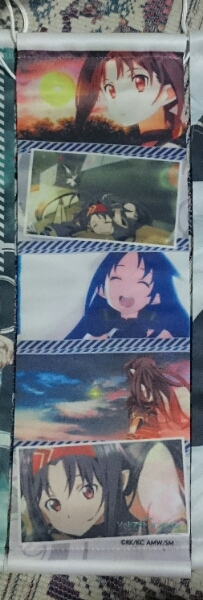 ソードアート オンライン タペストリー ユウキ C90 ジェンコ 