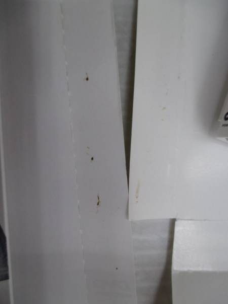 DVD アマガミSS 全13巻，アマガミSS+plus 全7巻セット 初回 難有