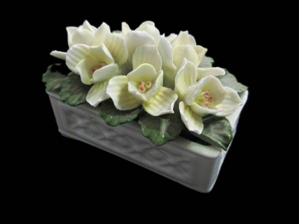 エンズレイ Aynsley 置物 フラワー 陶花 白 ホワイト系 エインズレイ