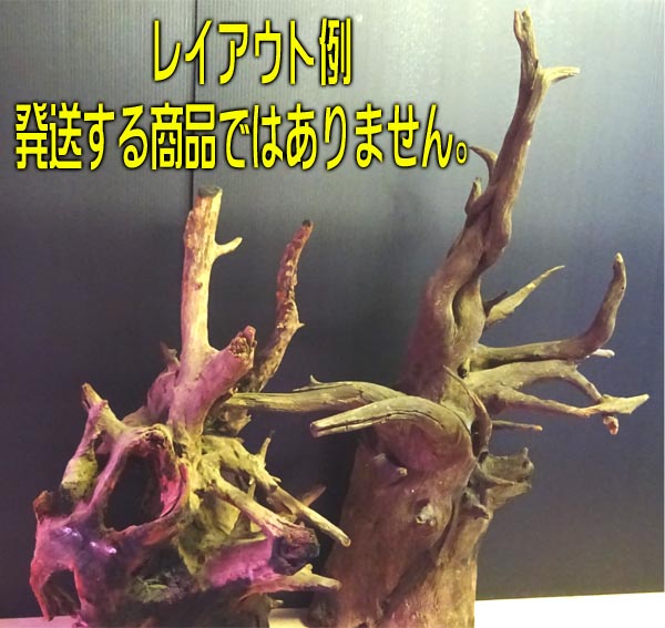 特大！天然流木01 入手困難 天然木 根流木 特大 高さ90cm 花台 飾り台