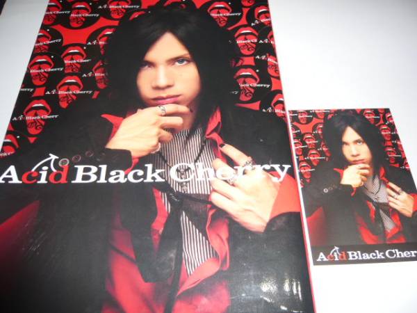 Acid Black Cherry 写真集 yasu ポストカード付 【公式通販】