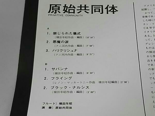 原始共同体(横田年昭) 原始共同体