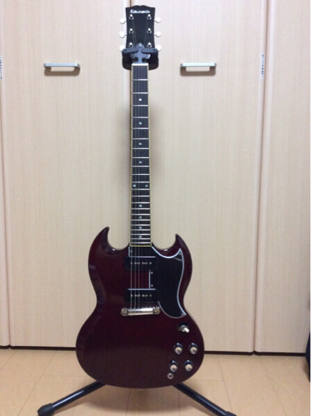 ★中古美品★ EDWARDS E-SG-90 LT2
