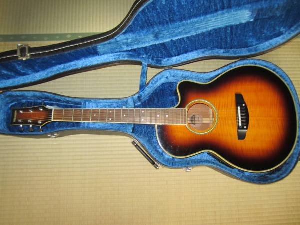 エレアコ MR-451 Morris モーリス BS MORRIS サンバースト 現状渡し