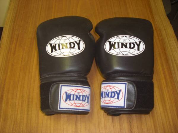 ボクシンググローブ グローブ windy 16oz WINDY ウィンディ 紐式