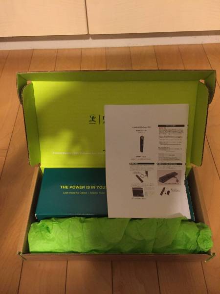 □未使用□ サンコーレアモノ いつのまにか充電 nPower PEG
