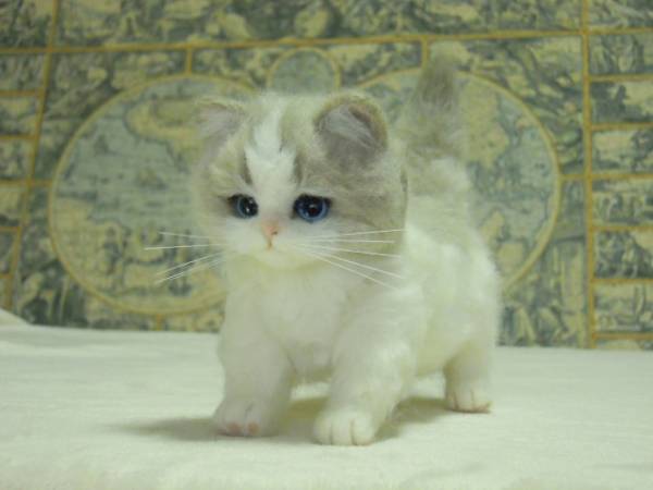 YN 羊毛フェルト 猫 ラグドール 赤ちゃんNo6ハンドメイド