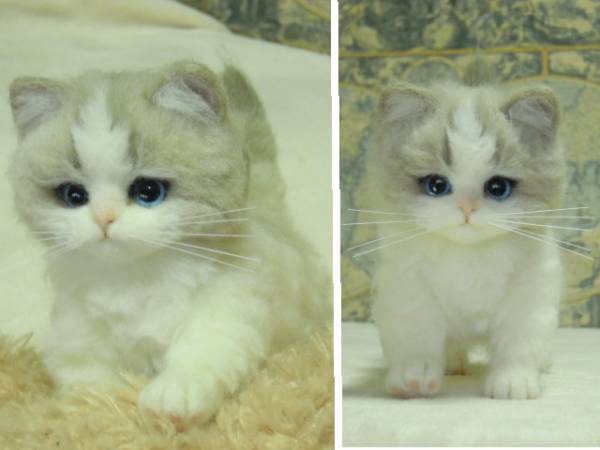 YN 羊毛フェルト 猫 ラグドール 赤ちゃんNo6ハンドメイド