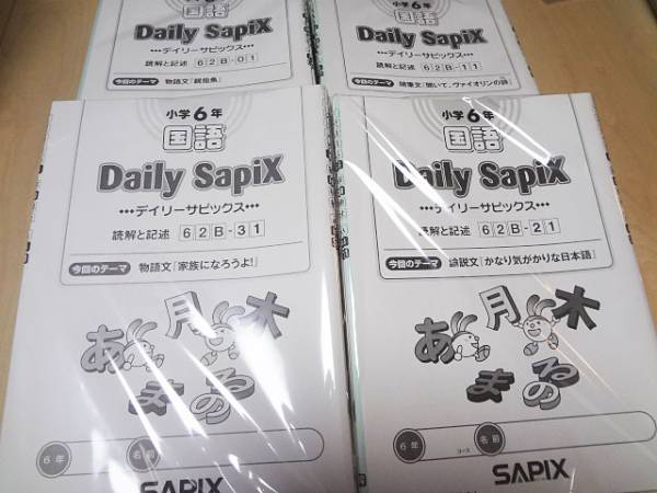 ㉔ひ サピックス SAPIX 6年 国語 読解と記述 一年分 ディリー