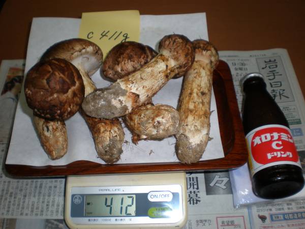 松茸C412g　岩手県岩手町産　9月30日収穫