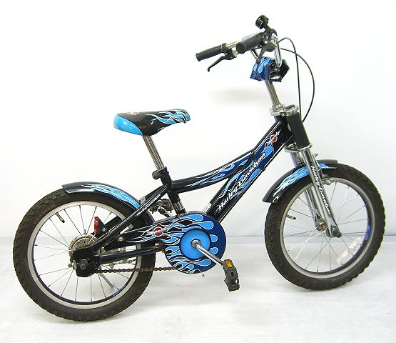 16インチ 子供用自転車 身長100～110cm | ハード 自転車エコキッズ 
