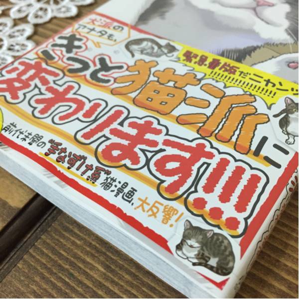 ねこったけ 1 難谷 航 猫の漫画 未読 猫 売買されたオークション情報 Yahooの商品情報をアーカイブ公開 オークファン Aucfan Com