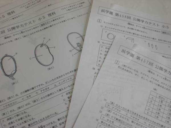 浜学園 小５理科 公開学力テスト １０回分 11年4月 12年1月 中学受験 売買されたオークション情報 Yahooの商品情報をアーカイブ公開 オークファン Aucfan Com