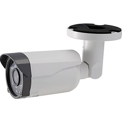 ◆130万画素 超高画質 ハイビジョン屋外カメラ / NSK / NS-F201C