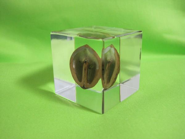 ★FRP高透明注型・封入用樹脂４ｋｇ/標本/昆虫/貝/花/レジン