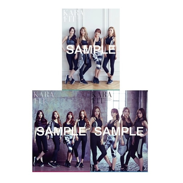 KARA the FIT 【限定盤 SPECIAL BOX】 DVD KARA the FIT Special Box 4DVD+GOODS オリジナルポスター3枚付