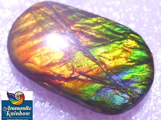 アンモライト ダブル 両面 20x12mm Ammonite Ammolite ルース ご覧頂き