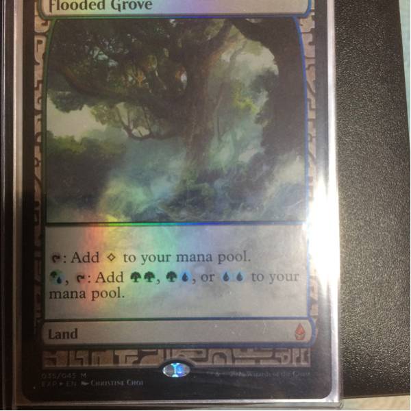 MTG EXP 溢れかえる果樹園　エクスペディション　FOIL Flooded FOIL)溢れかえる果樹園⁄Flooded Grove《英語》EXP ⁄ エクスペ