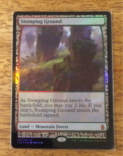 EXP MTG EXP 踏み鳴らされる地 エクスペディション 踏み鳴らされる地