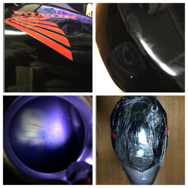 l423527538.1