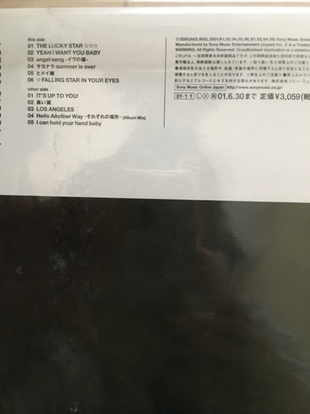 brilliant the | green green『TERRA 2001』LP レコードレア 盤 The ザ