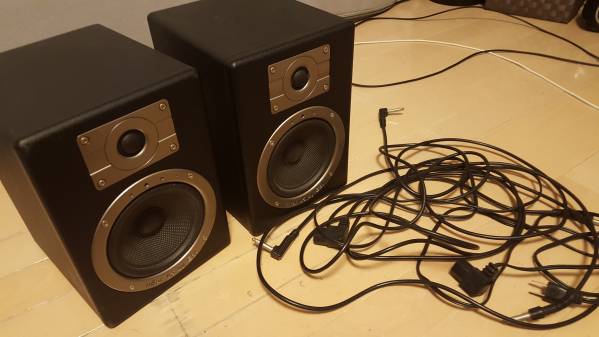 【完動品】nEar 05 ESI パワードモニタースピーカー【美品】