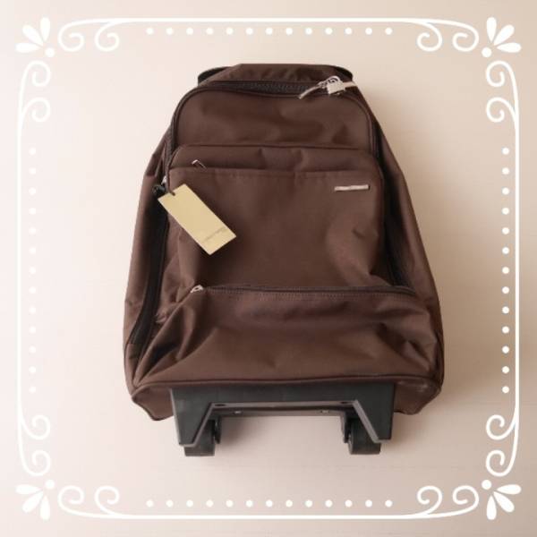 新品　タグ付き　ACEお取り扱い　キャリーバッグ マキシムラベリ