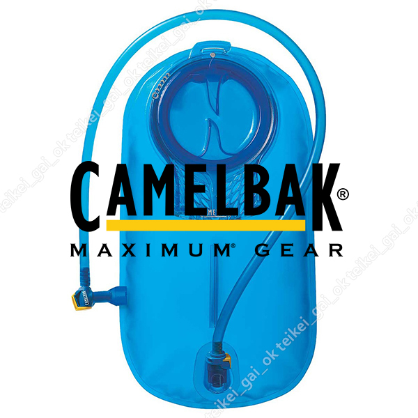 定形外400キャメルバックCAMELBAKリザーバー2.0Lアンチドート