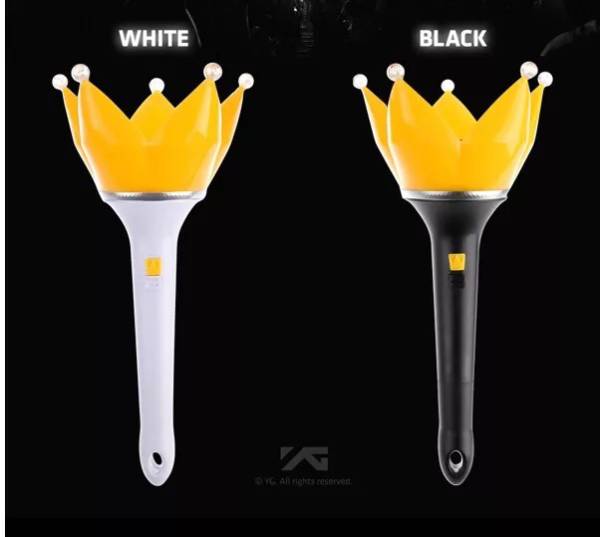 BIGBANG 公式ペンライトVer.4 bigbang 公式グッズ ☆2色セット