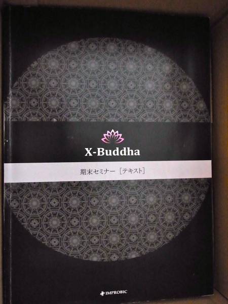 絶版・希少】Mr.X X_Buddha期末セミナー Final CD2巻セット マ*ン様 約